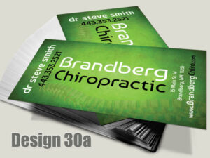 Chiropractic Business Card - Design 30a - For Chiropractic Clinics