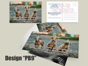 Chiropractic Birthday Postcard Design PB9 - Postcards for Chiropractic Clinics