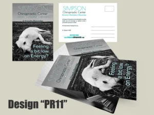 Chiropractic Recall/Reminder Postcards - Postcards for Chiropractic Clinics - Front and Back - Design PR11