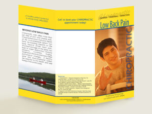 Low Back Pain - Chiropractic Patient Education Brochure - Patient Education Brochures for Chiropractic Clinics