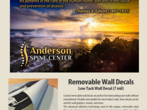 Doctor of the Future - Chiropractic Wall Mural for Chiropractic Office -large