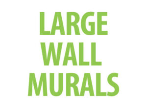 Large Chiropractic Wall Murals for Chiropractic Offices