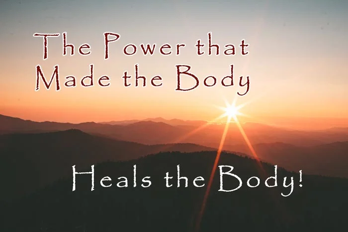 Chiropractic Quotes - #16 1 The power that made the body, heals the body.