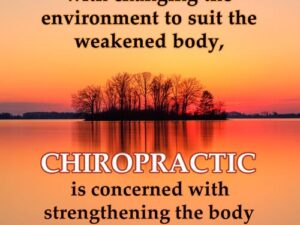 Chiropractic-Quote17-Flat-While other professions are concerned with changing the environment to suit the weakened body, chiropractic is concerned with strengthening the body to suit the environment.