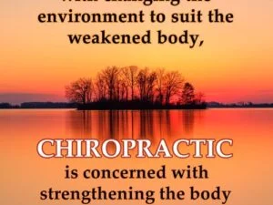 Chiropractic-Quote17-Flat-While other professions are concerned with changing the environment to suit the weakened body, chiropractic is concerned with strengthening the body to suit the environment.