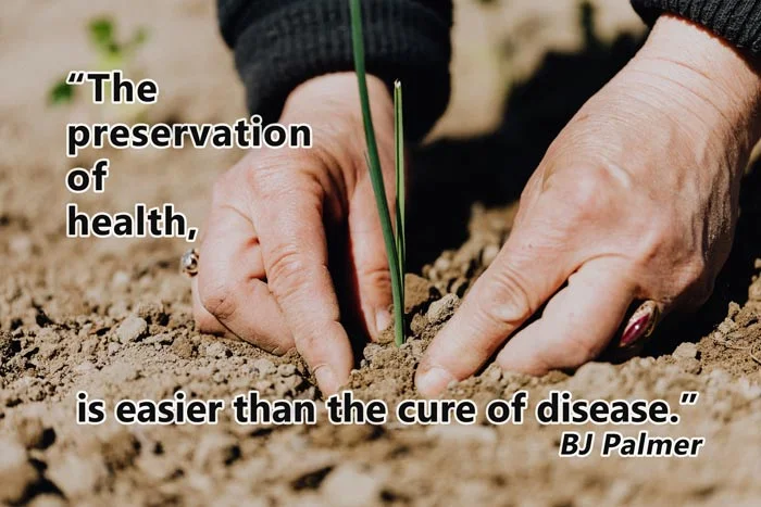 Chiropractic Quotes - #19b 1 Chiropractic Quote19b flat