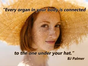 Chiropractic Quote-23 Every organ in your body is connected to the one under your hat.