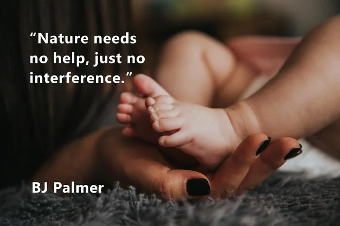 Chiropractic Quotes - #22 1 Chiropractic-Quotes-22flat -Nature needs no help, just no interference. BJ Palmer