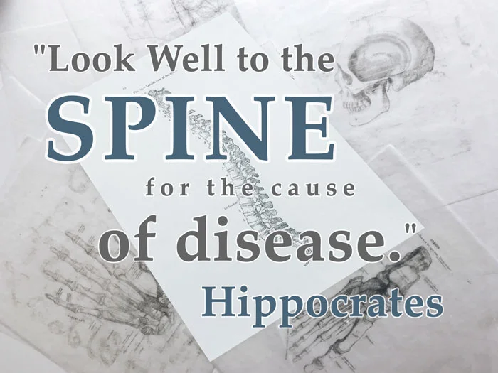 Chiropractic Quotes - #5 1 Chiropractic Quotes #5 - Flat