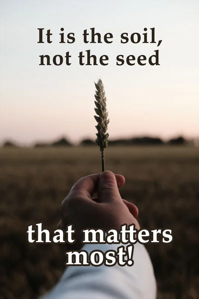 Chiropractic Quotes - #4 1 Chiropractic Quotes - Image #4 - Flat