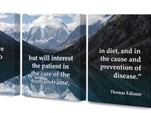 Triple Canvas Wrap - Edison Quote - "Dr. of the future"