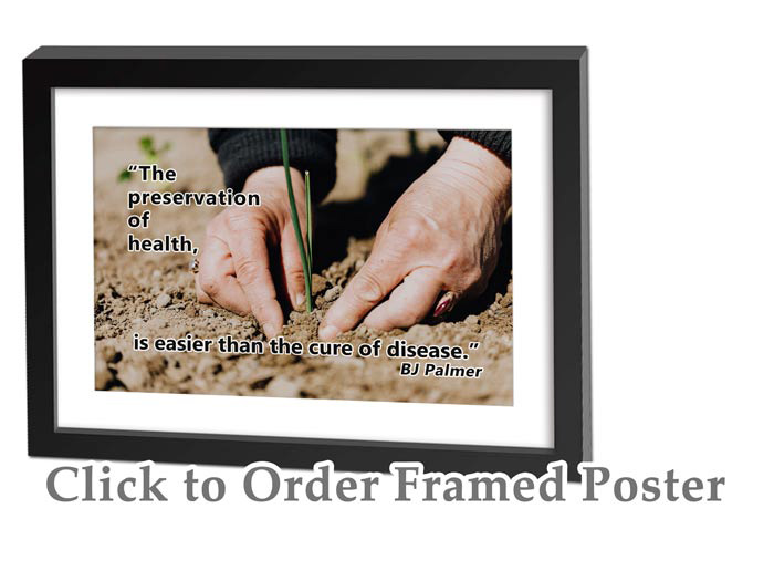 Chiropractic Quote19a The Preservation of health is easier than the cure of disease