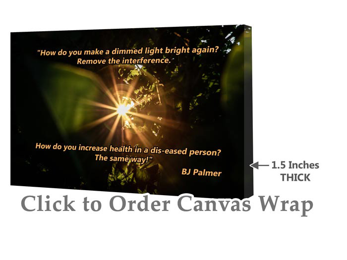 Chiropractic Quote25 How do you make a dim light bright again remove the interference