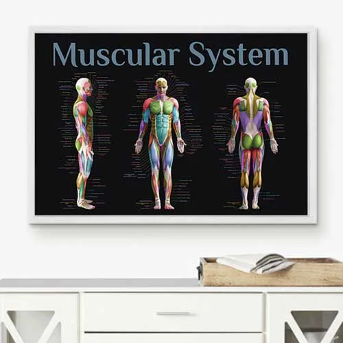 Display Image